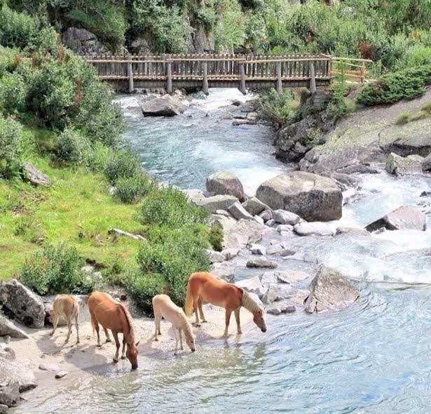 Affittacamere Da Silvia Santa Barbara  Kültér fotó