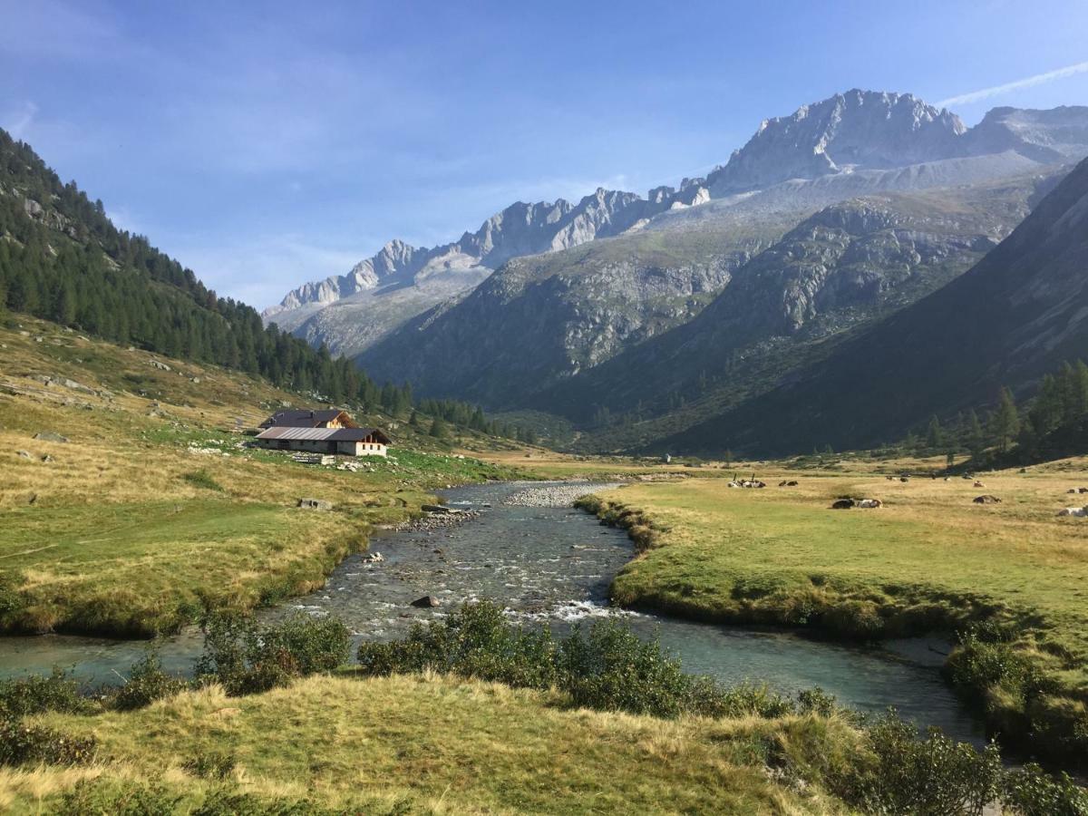 Affittacamere Da Silvia Santa Barbara  Kültér fotó